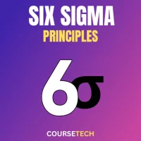 Six Sigma Principles